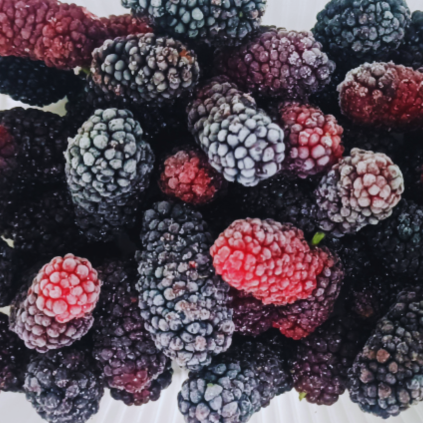 【樂農發】產銷履歷冷凍生鮮桑椹300公克/盒×8盒 手工採摘/紅黑果實-細節圖2