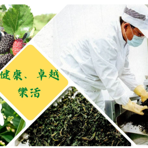 【樂農發】桑葉茶60公克/3罐| 免運優惠組-細節圖5