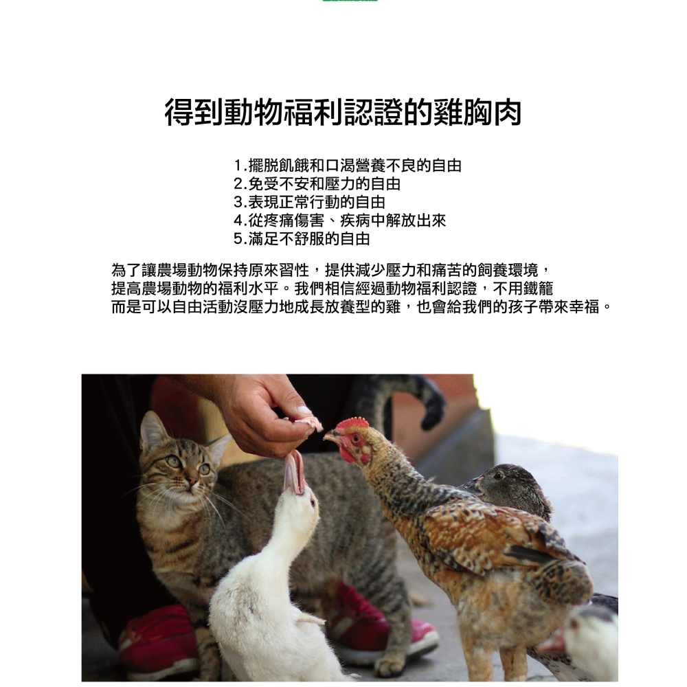 【韓國朝貢】濟州島系列肉泥（15g x 4入）-細節圖10