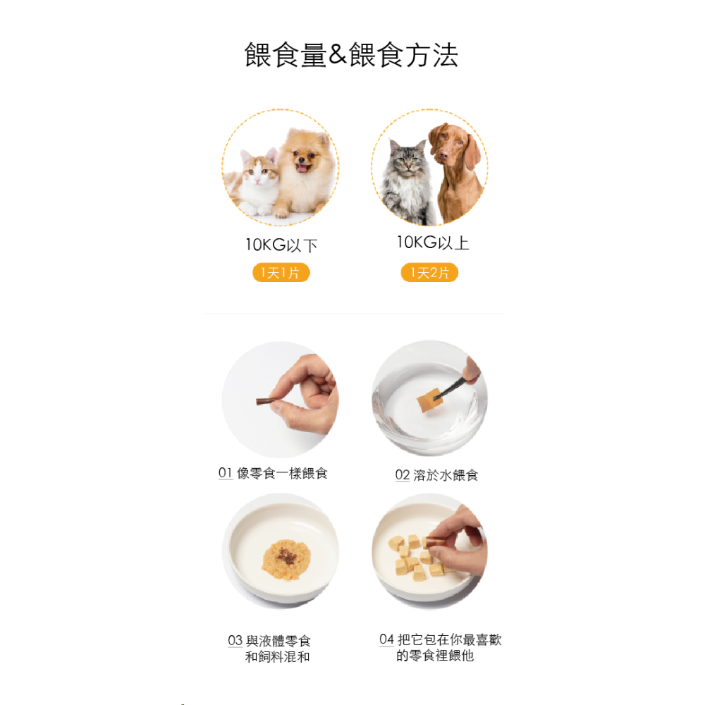 韓國LEPOTE 寵物口腔貼片-腸道保健（1盒10片）-細節圖9