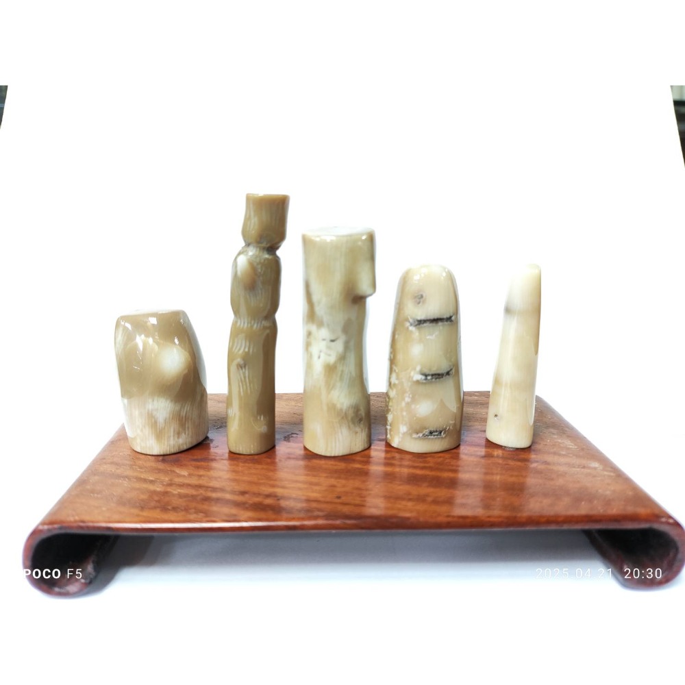 海竹珊瑚2號-細節圖2