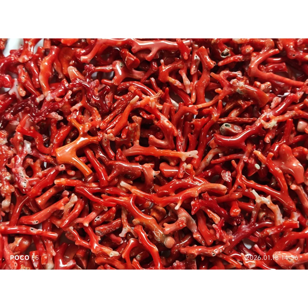 天然紅珊瑚600克-細節圖2