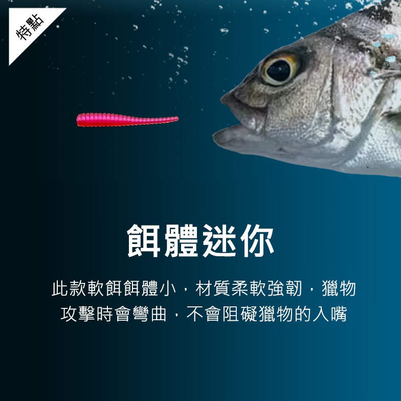 【KAITA】路亞軟蟲 根魚短針尾 根釣 針尾 路亞假餌 釣餌 軟蟲 路亞 假餌 釣魚 軟餌 魚餌【3.5cm】-細節圖2