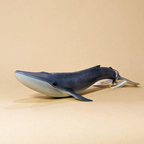 Schleich 德國製 史萊奇 思樂 野生動物擬真模型 藍鯨