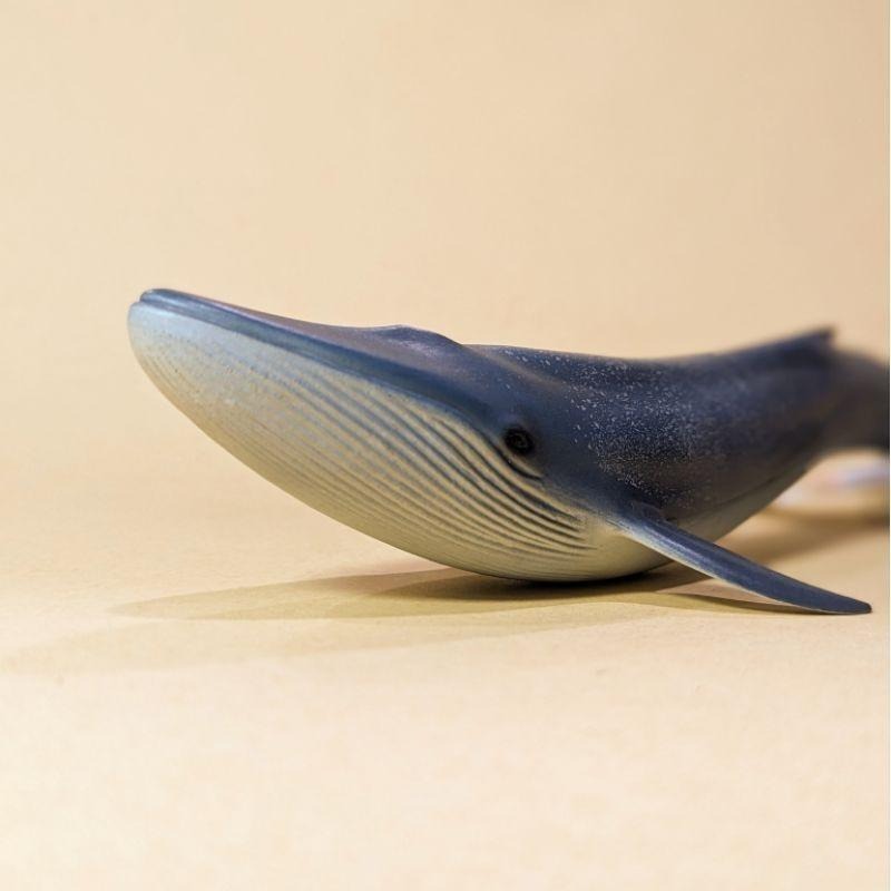 Schleich 德國製 史萊奇 思樂 野生動物擬真模型 藍鯨-細節圖2