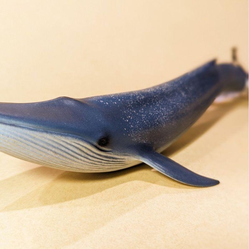 Schleich 德國製 史萊奇 思樂 野生動物擬真模型 藍鯨-細節圖4