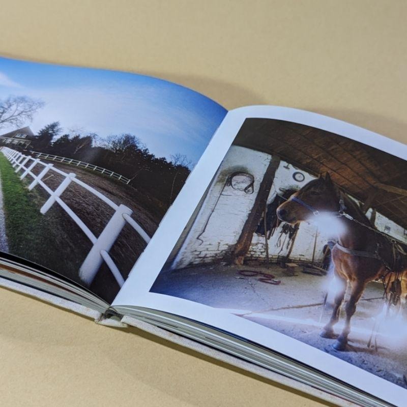 Lomography The Lomo LC-Wide: Go Closer or Go Home 精裝版 絕版 攝影集-細節圖3