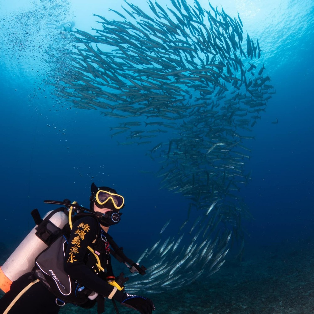假日套裝行程-雙人浪漫旅住宿-1800/人(兩天一夜套裝內容包含東港-小琉球來回船票、機車及住宿)-細節圖3