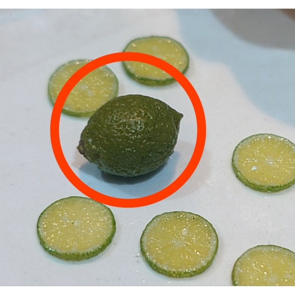 手作 微縮 檸檬 切片 切角 整顆 綠檸檬 食玩 袖珍-規格圖2