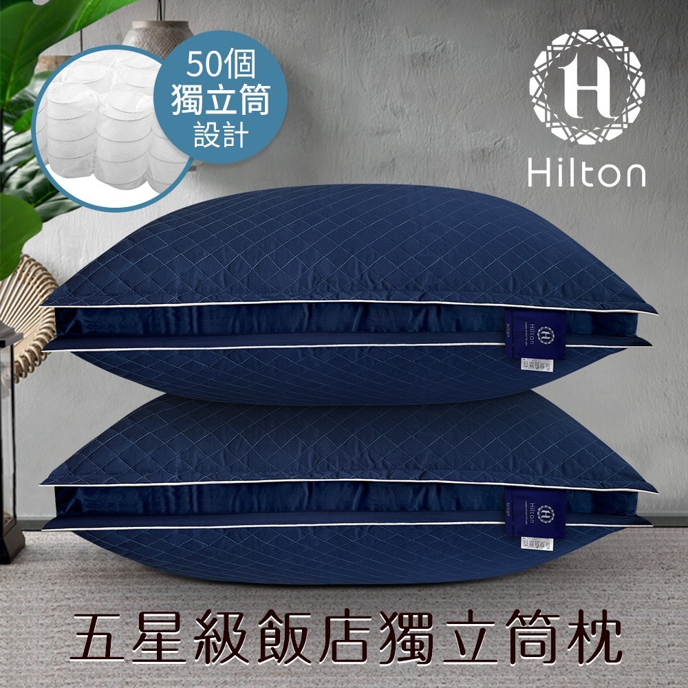 【Hilton 希爾頓】VIP貴賓純棉立體銀離子抑菌獨立筒枕/二色任選(枕頭/舒眠枕/透氣枕)(B0033-DX)-細節圖2