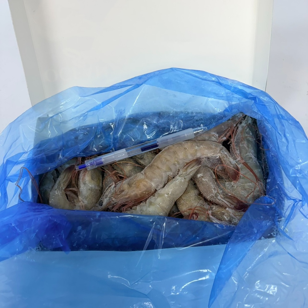 馨海水產-20/30(每公斤尾數)大白蝦-細節圖2