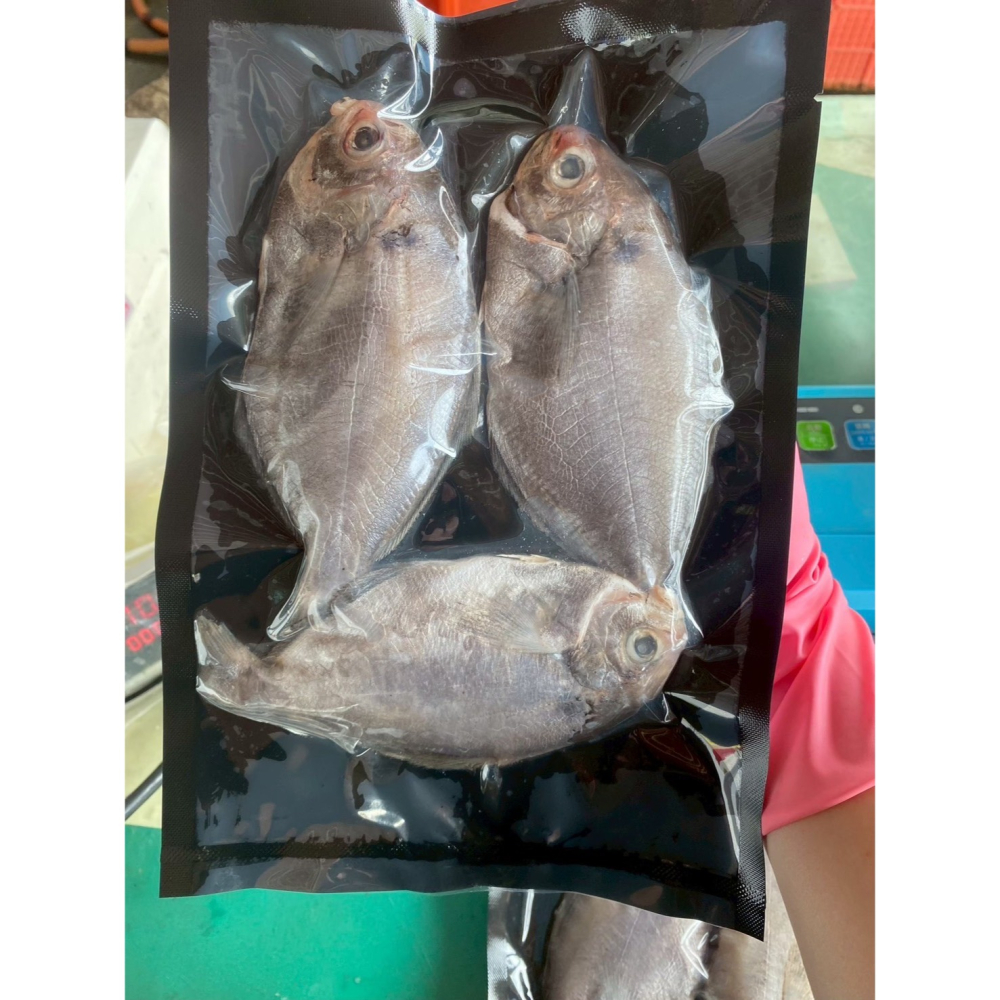 馨海水產-特選大肉魚-每包三尾-無包冰(300~350克)-細節圖6