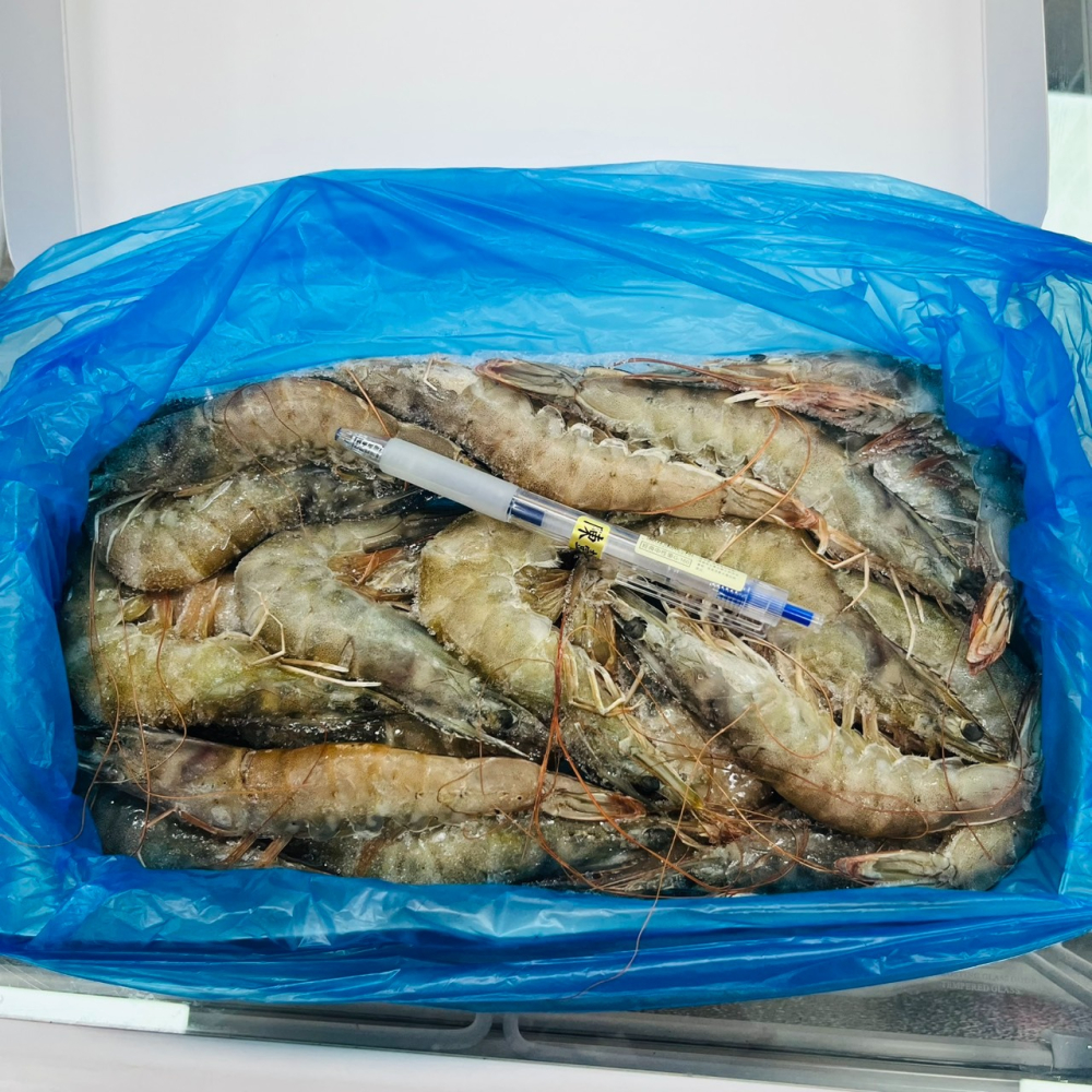 馨海水產-30/40白蝦-細節圖2