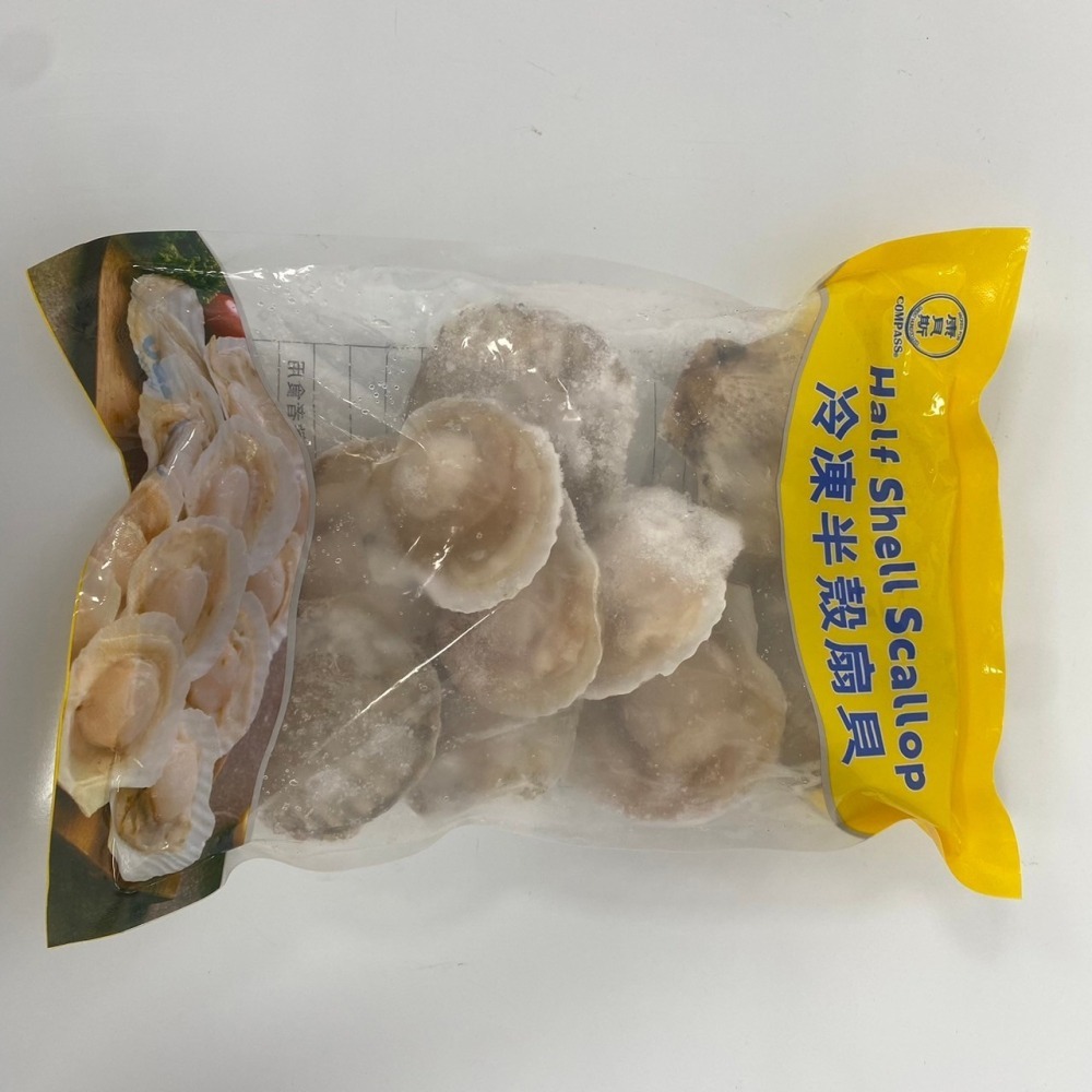 馨海水產-帶殼扇貝-細節圖3