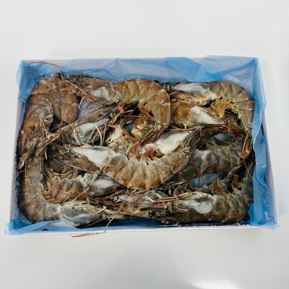 馨海水產-天然有氧SPA蝦(21/25)-大蝦蝦~大滿足!-細節圖2