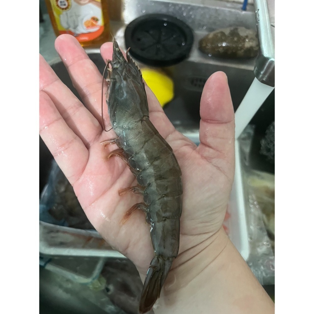 馨海水產-天然有氧SPA蝦(21/25)-大蝦蝦~大滿足!-細節圖3