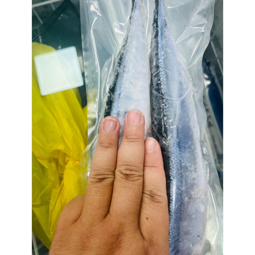 馨海水產-特級秋刀魚(兩尾入)/煎煮烤炸皆方便/今年真的很肥(約三指寬)-細節圖4