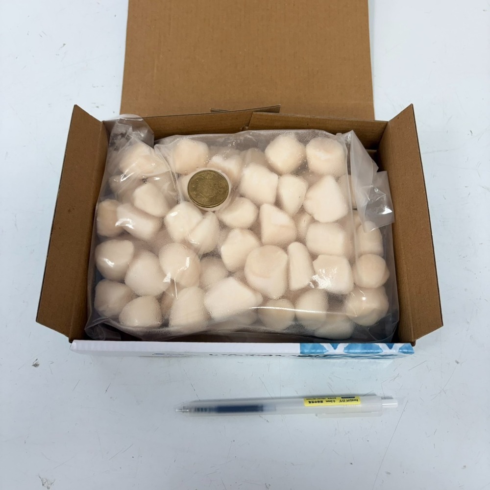 馨海水產-生食級海灣貝/40~60顆/壽司/干貝-細節圖4
