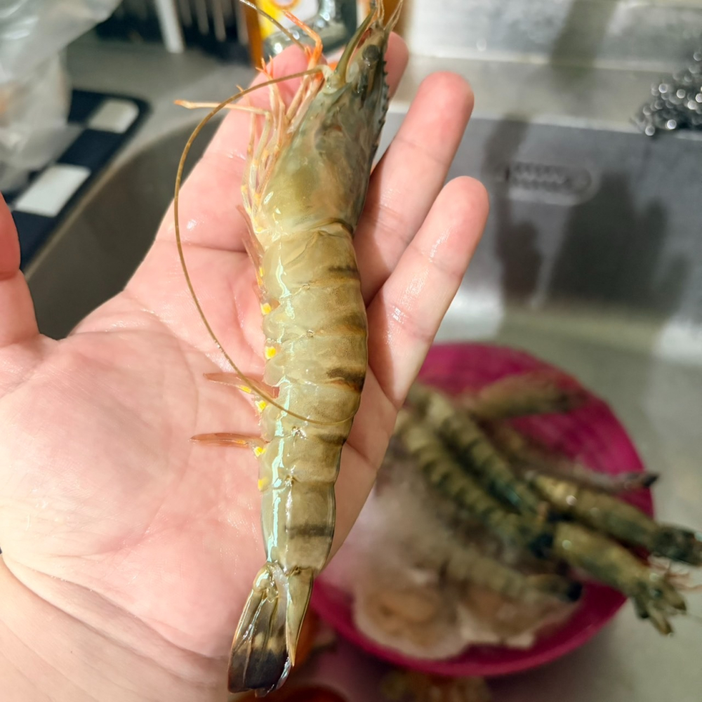 馨海水產-天然海老大草蝦10p/麻辣蝦/蒜蓉蝦/烤蝦-細節圖3