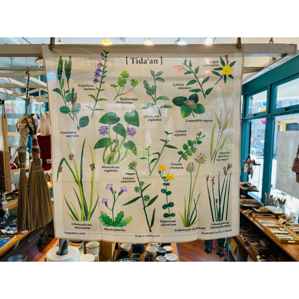 「石梯坪海稻米田區植物方巾」花蓮日日 Hualiendaily-細節圖2