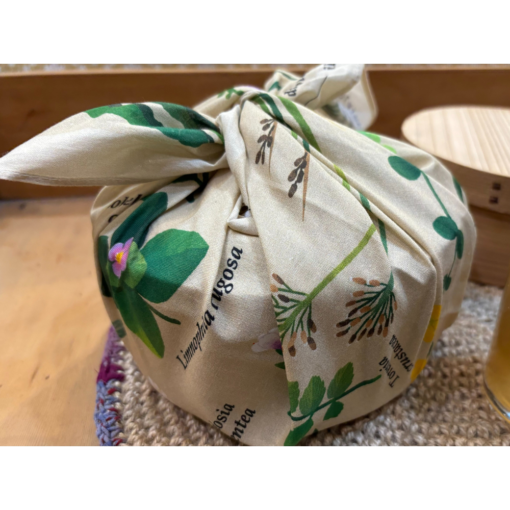 「石梯坪海稻米田區植物方巾」花蓮日日 Hualiendaily-細節圖3