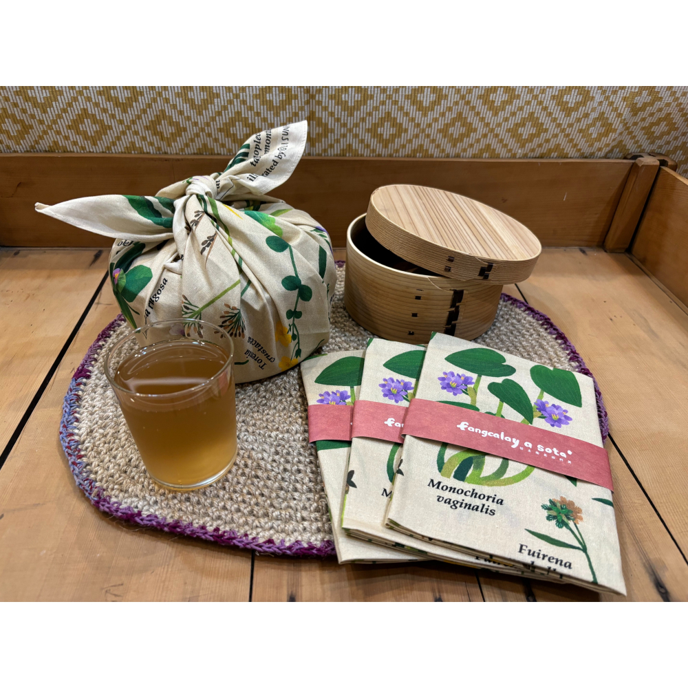 「石梯坪海稻米田區植物方巾」花蓮日日 Hualiendaily-細節圖4