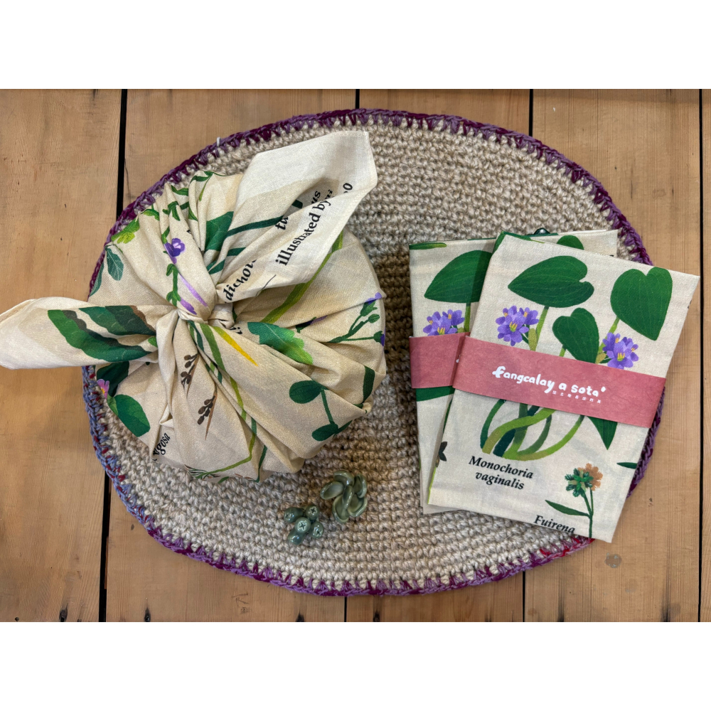 「石梯坪海稻米田區植物方巾」花蓮日日 Hualiendaily-細節圖5