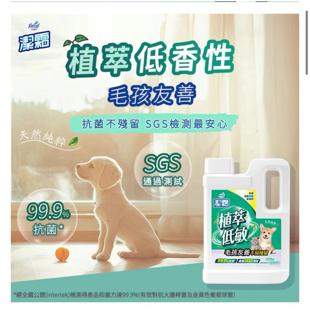 【Max魔力生活家】 潔霜 除菌EX (水樣玫瑰) 植萃低敏 (植淨低香性) 地板清潔劑 (一桶2000g)-細節圖5