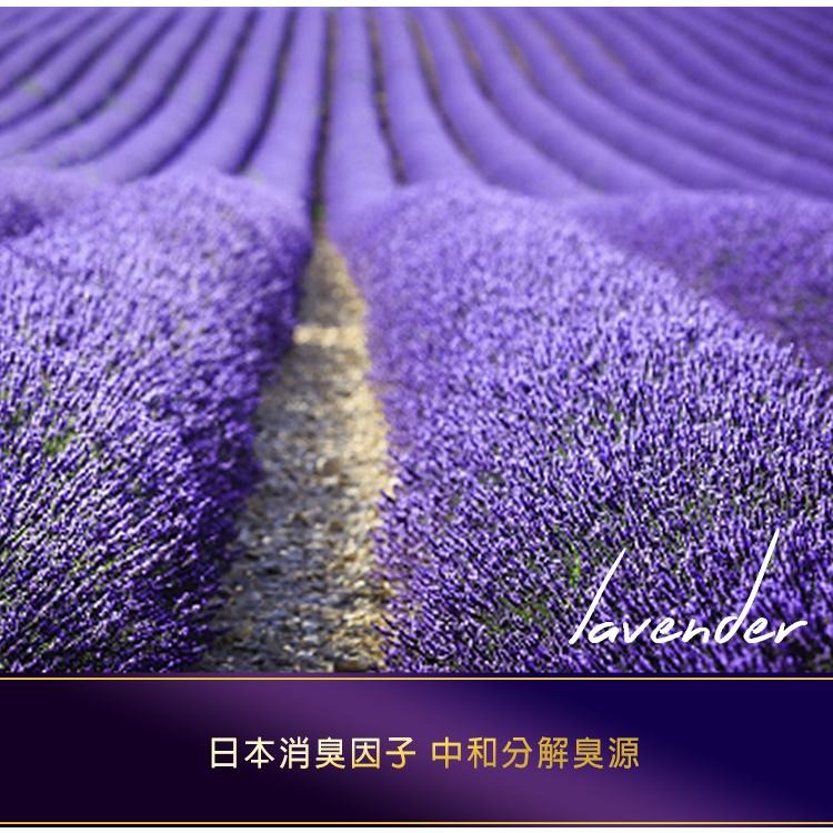 【Max魔力生活家】快速到貨 花仙子 去味大師 汽車消臭易 車內用 備長炭 銀離子 檸檬 薰衣草 異味退散-細節圖3