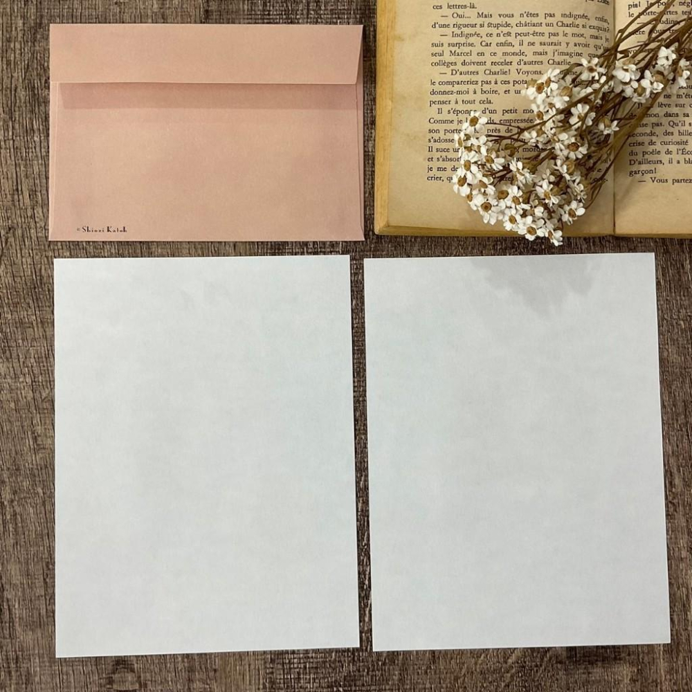 日本 加藤真治｜瀕臨絕種 /馬來貘 水瀨｜信封信紙-細節圖4