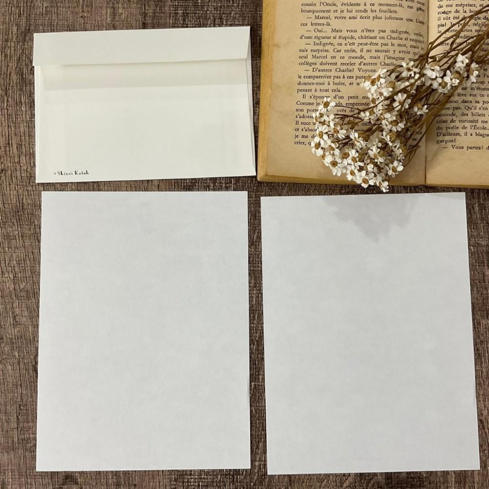 日本 加藤真治｜瀕臨絕種 /馬來貘 水瀨｜信封信紙-細節圖7