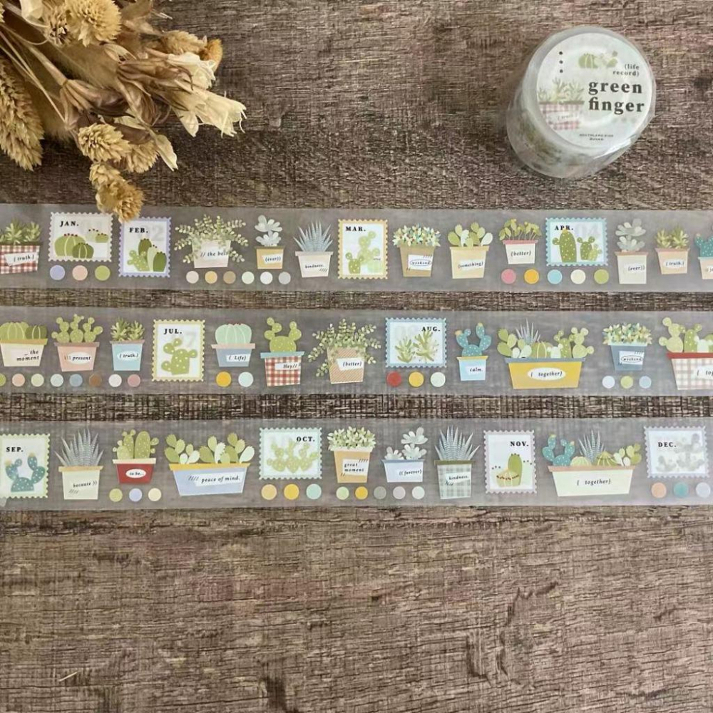 南國的孩子｜P01.Green finger綠手指多肉/ P02.Plaid pattern格紋派特｜分裝紙膠帶-細節圖2