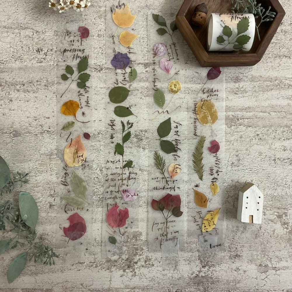 茄子先生｜木棉 /壓花習作/Little Journey｜霧面PET 分裝紙膠帶-細節圖9
