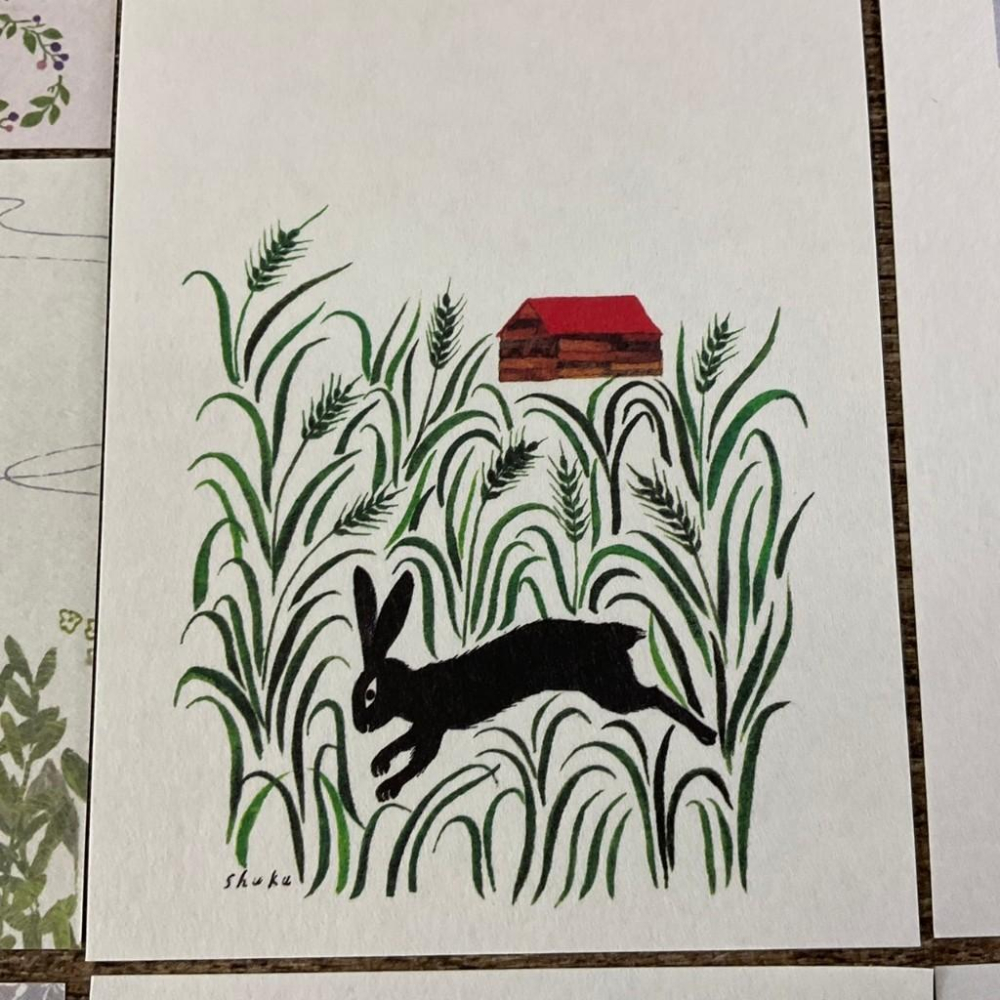 日本 表現社 大森木棉子 西淑｜道草花  日常 |一筆籤 分裝-細節圖6