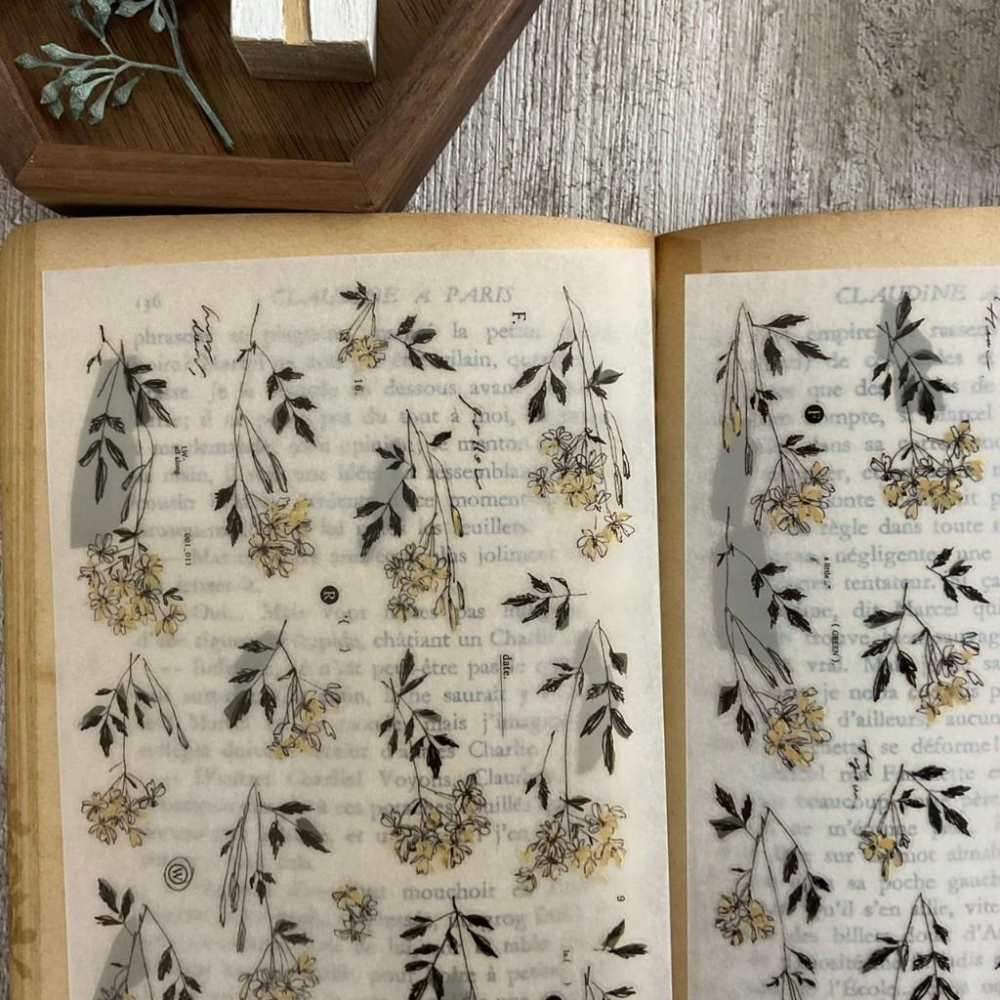 羊君┃ 轉印貼紙 出清┃A little yellow, a little green.-細節圖2