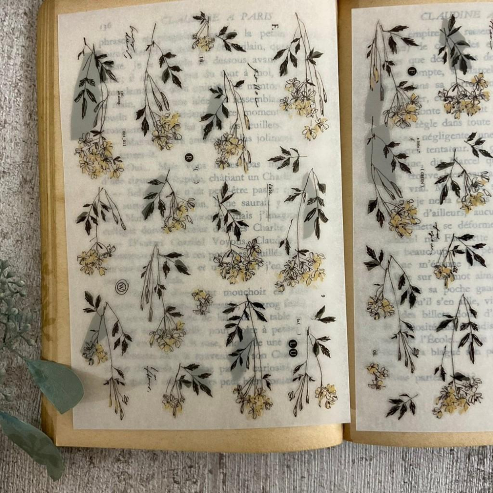 羊君┃ 轉印貼紙 出清┃A little yellow, a little green.-細節圖3