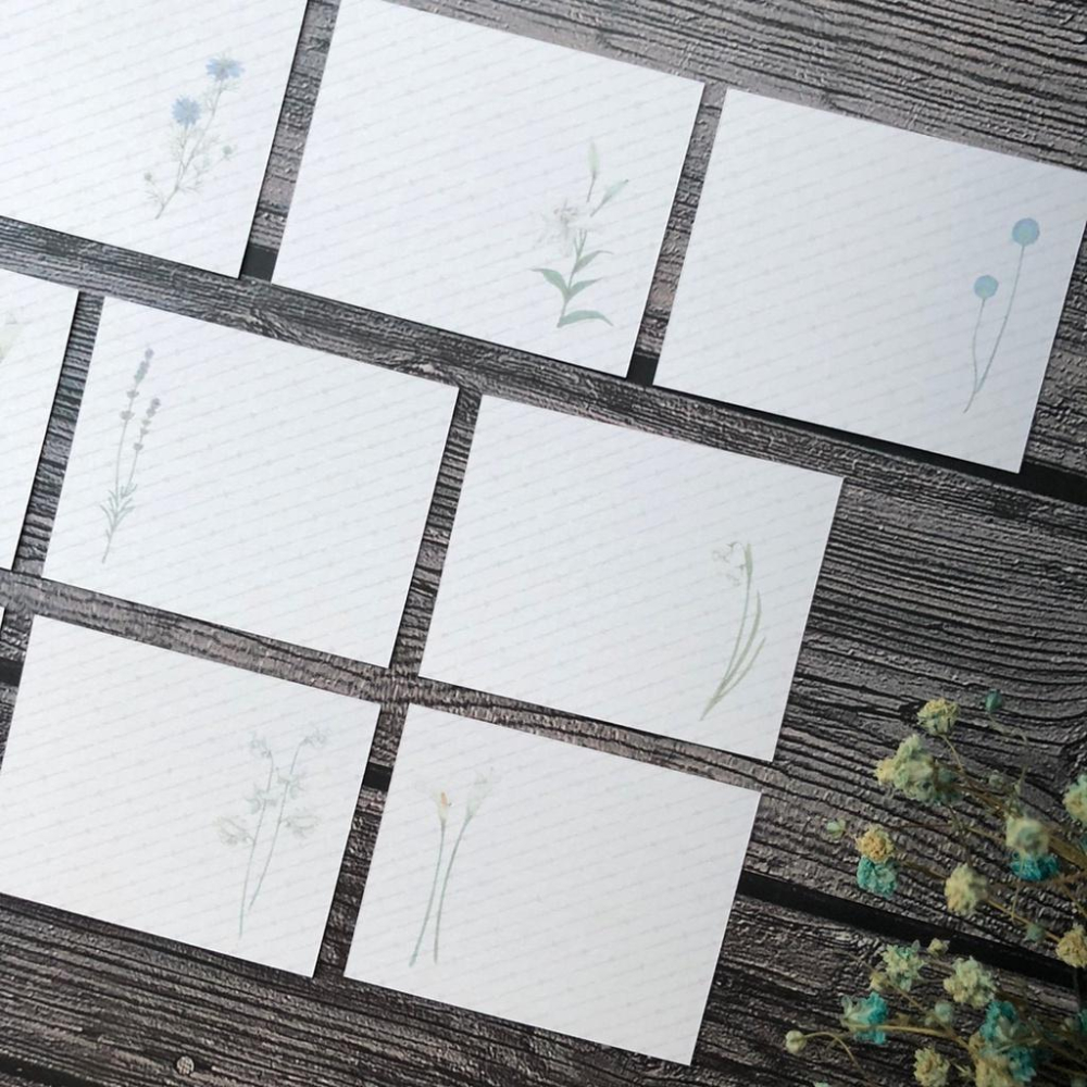 [好築藝]日本 mocolier  小卡 雙面印刷｜花朵 兩款選擇-細節圖7