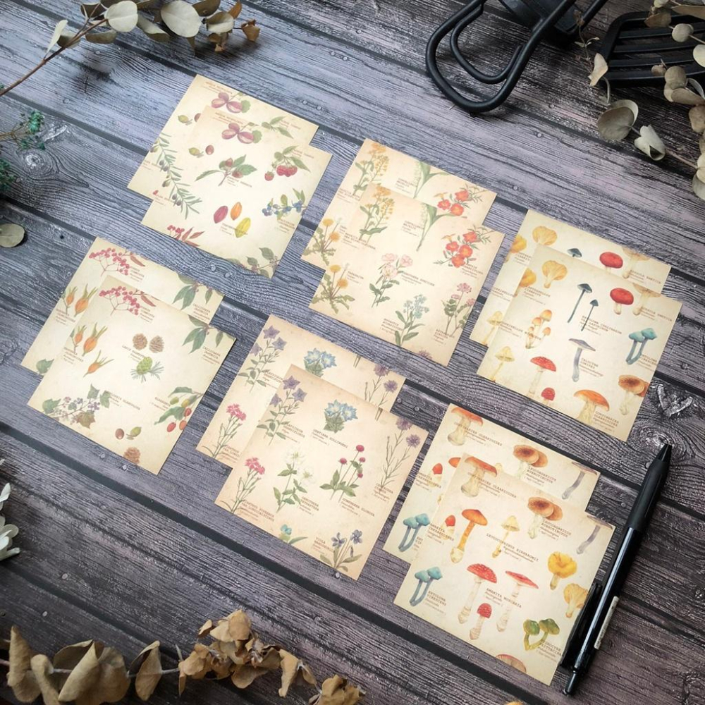 [好築藝]日本 mocolier  便條紙｜野花.堅果.蘑菇-細節圖2