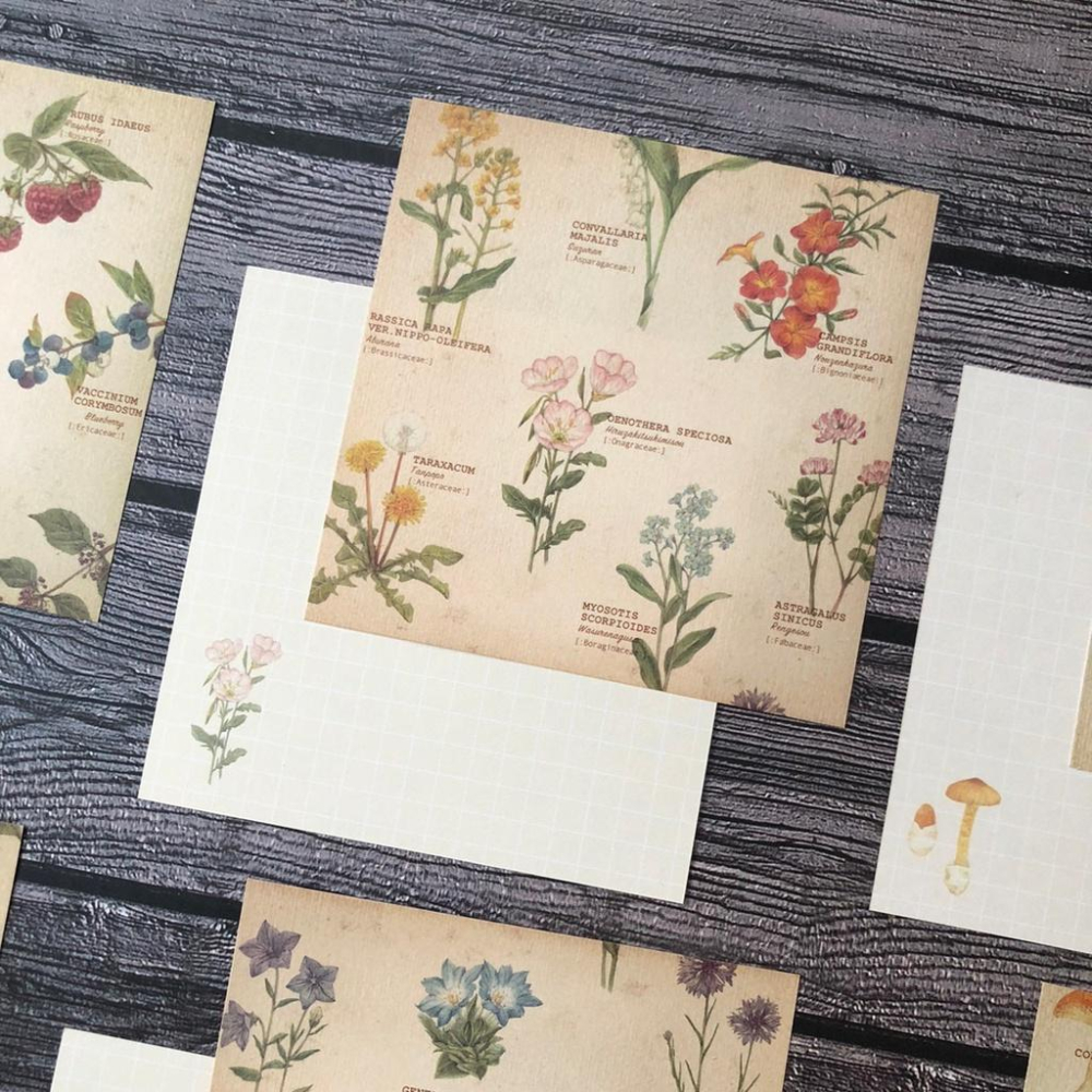 [好築藝]日本 mocolier  便條紙｜野花.堅果.蘑菇-細節圖3