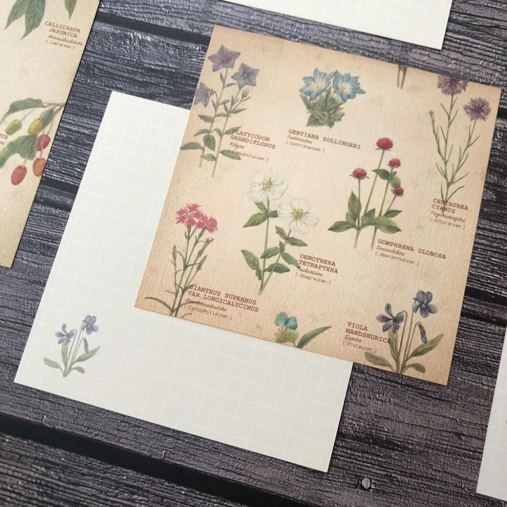 [好築藝]日本 mocolier  便條紙｜野花.堅果.蘑菇-細節圖4
