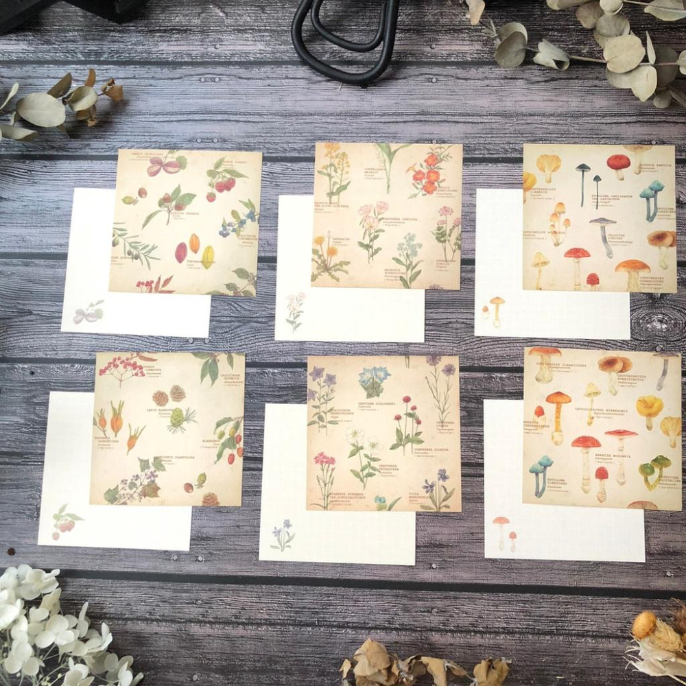 [好築藝]日本 mocolier  便條紙｜野花.堅果.蘑菇-細節圖5