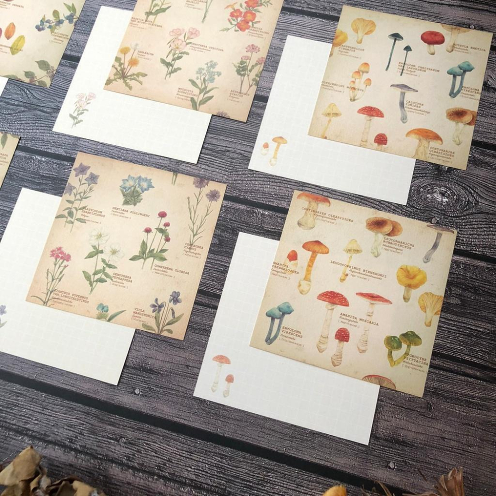 [好築藝]日本 mocolier  便條紙｜野花.堅果.蘑菇-細節圖6