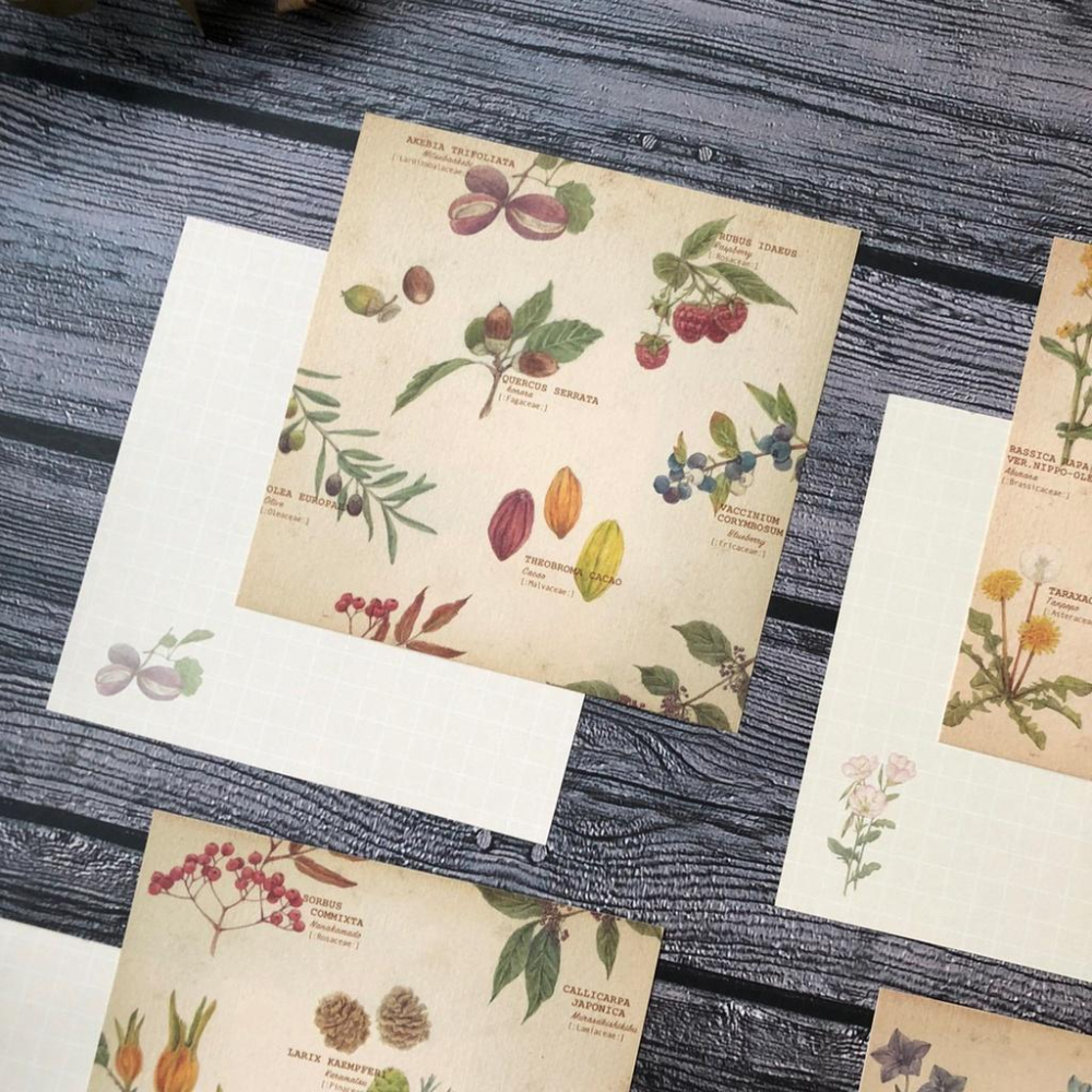 [好築藝]日本 mocolier  便條紙｜野花.堅果.蘑菇-細節圖7