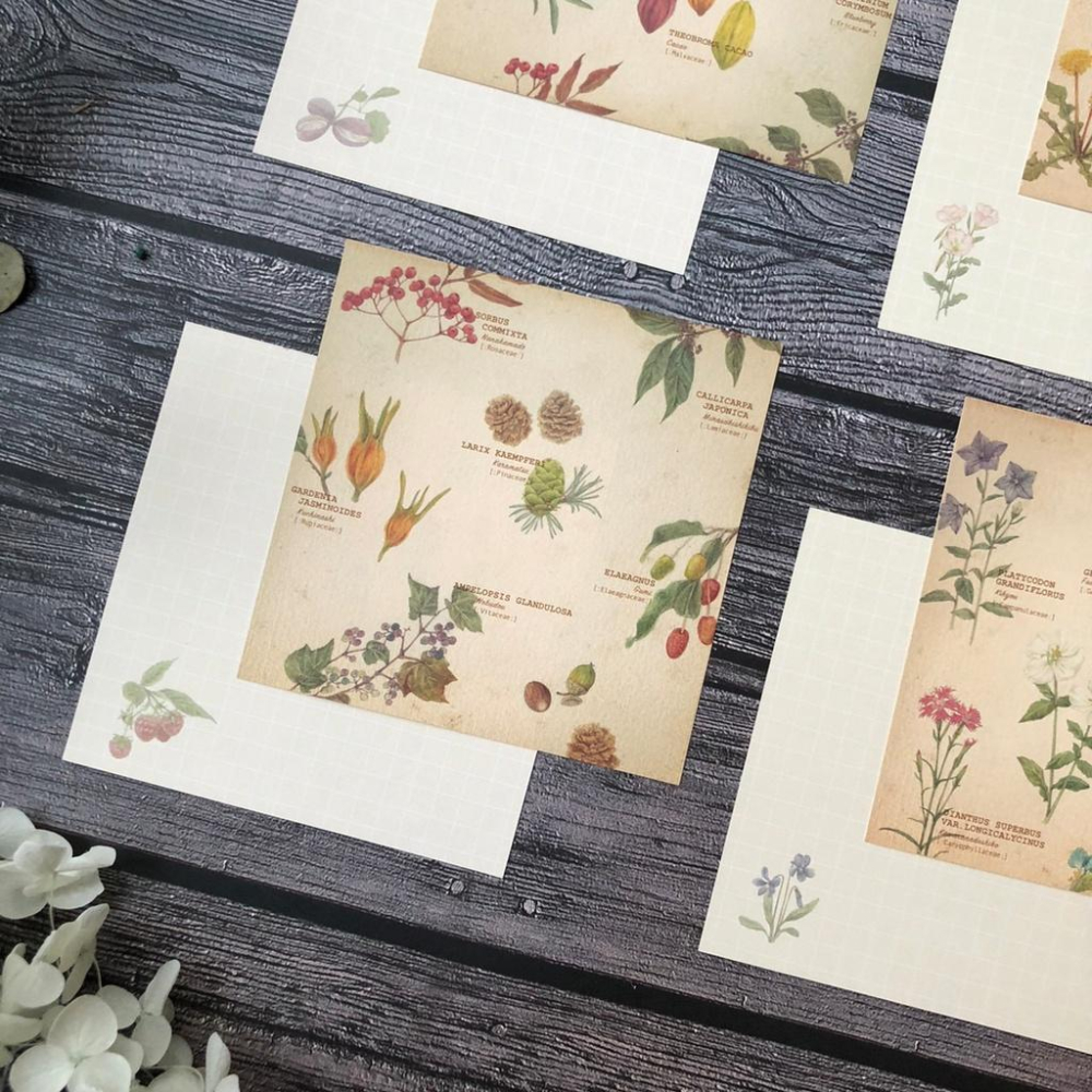 [好築藝]日本 mocolier  便條紙｜野花.堅果.蘑菇-細節圖8