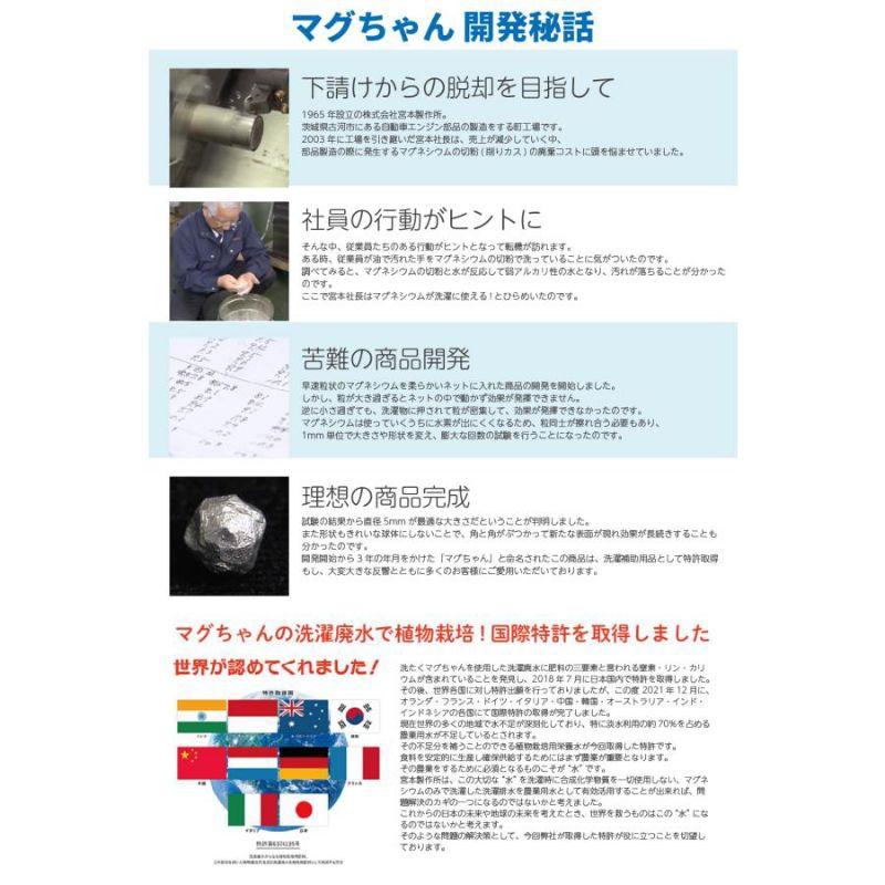 「現貨」日本 MIYAMOTO 宮本 洗衣鎂 抗菌除臭洗淨三合一 洗衣 洗衣機 抗菌 除臭 洗衣槽 ［AN.shop]-細節圖6