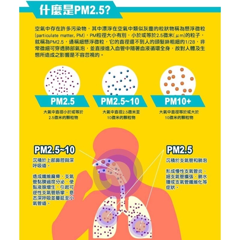 『現貨供應』PM2.5 防霾口罩 3D立體造型 防塵口罩 高效率過濾層 順易利 台灣製造 口罩-細節圖4