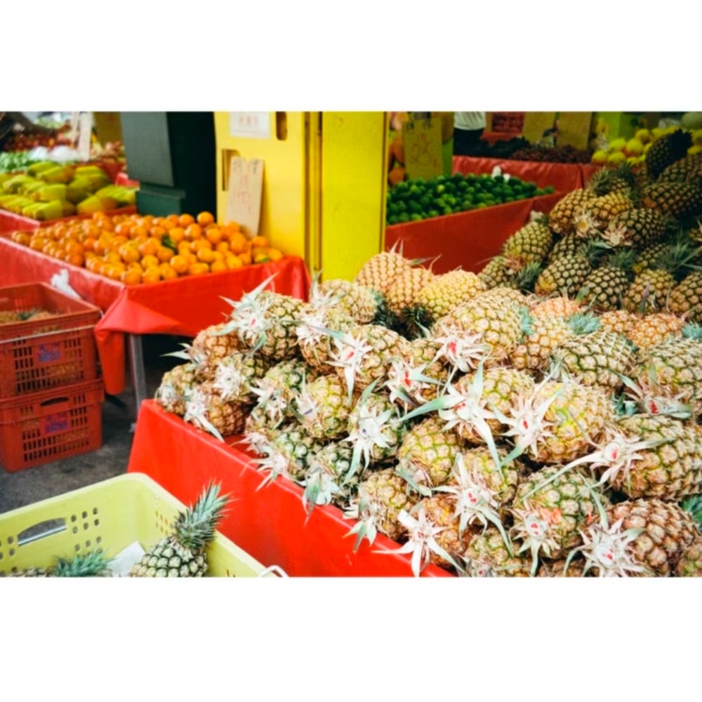 喵兔變焦寬景版olympus zoom 80 deluxe底片相機-細節圖7