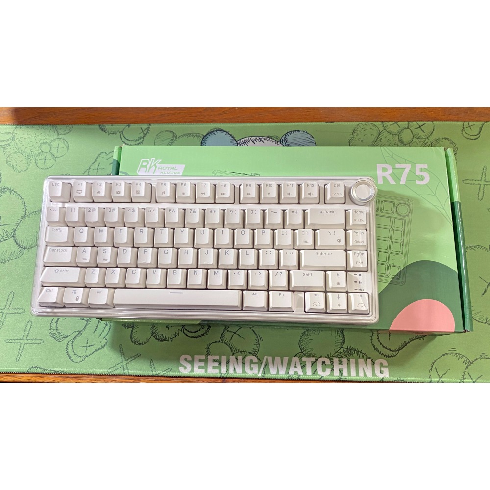 RK R75 遊戲鍵盤 全鍵熱插拔 GASKET 銀軸 有線機械鍵盤 電腦鍵盤-細節圖2