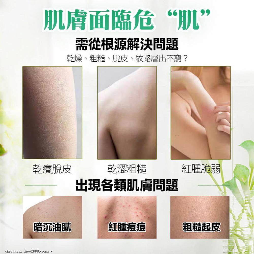 【現貨商品 快速出貨】Moln 艾草潤膚沐浴露-細節圖2