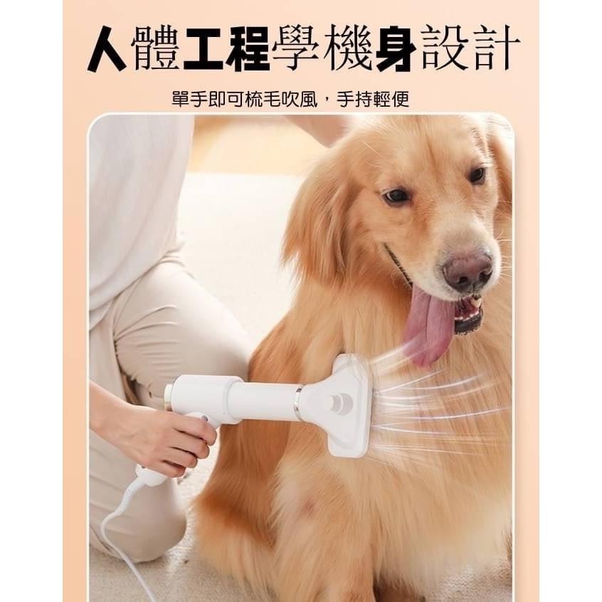 【現貨商品 快速出貨】寵物乾濕兩用手持吹毛刷 27*12*12cm 人體工程學機身設計 一鍵除毛 蜂巢式進風網-細節圖2